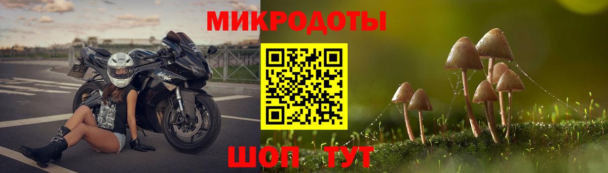 Прохладный  Галлюциногенные грибы Cubensis  Вход с VPN 